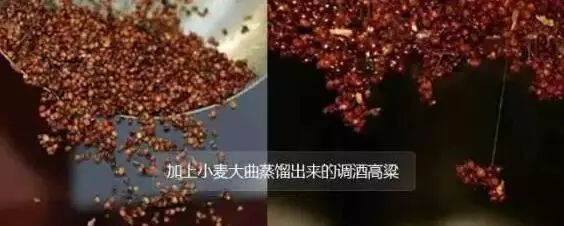 微信圖片_20220316180518.jpg